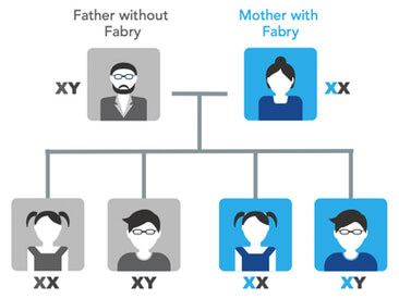 Fabry Family Tree Builder-Logo